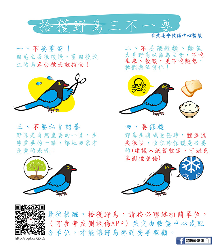 拾獲野鳥步驟