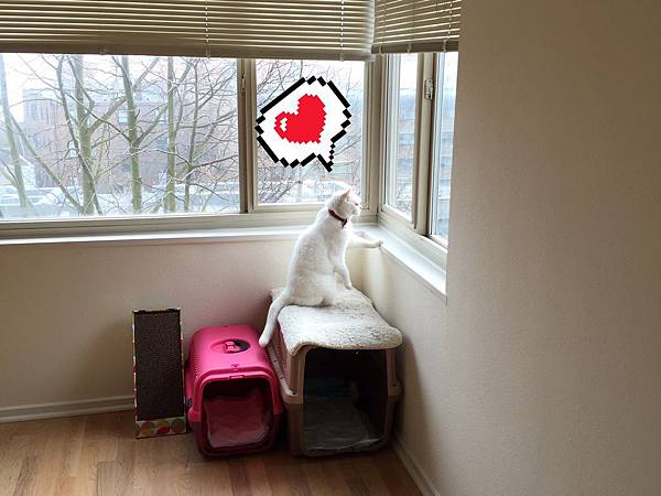 S__73646082.jpg S__73646082.jpg