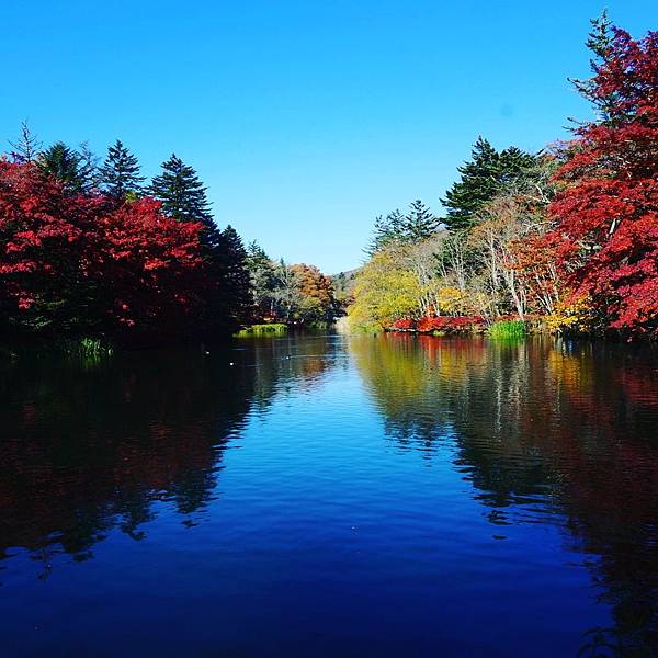 [遊記] 大家都去過的日本輕井澤賞楓之行