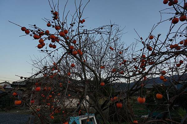[遊記] 群馬縣樂山園-國指定名勝庭園