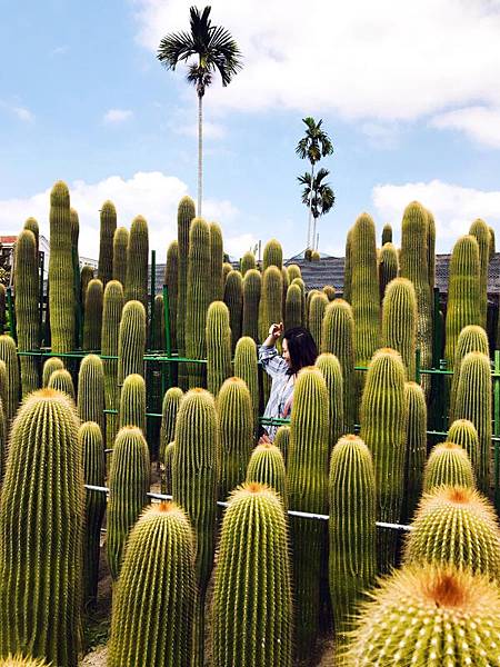 [遊記] 田尾公路花園 半日遊輕鬆逛