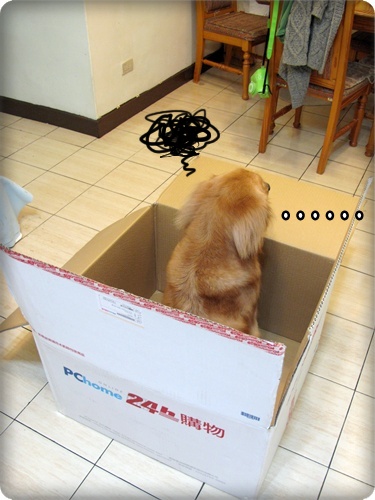 1.JPG 1.JPG
