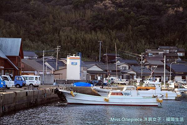 貓島(小)_180502_0001.jpg