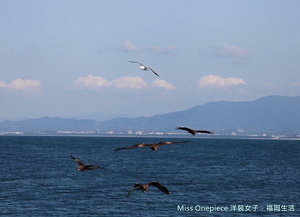 貓島(小)_180502_0027.jpg