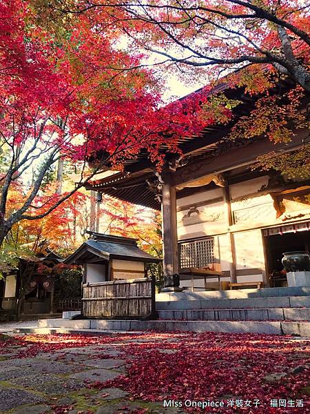 吞山觀音寺_181109_0056.jpg