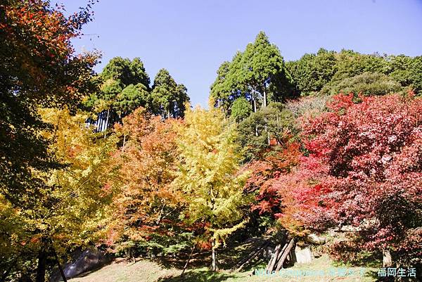 環境藝術.雷山_181111_0121.jpg