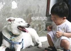 20110620寵物專欄