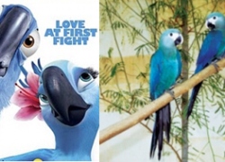 20110418寵物專欄