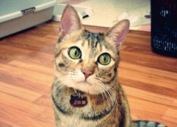 20110411寵物專欄