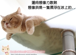 20110523寵物專欄