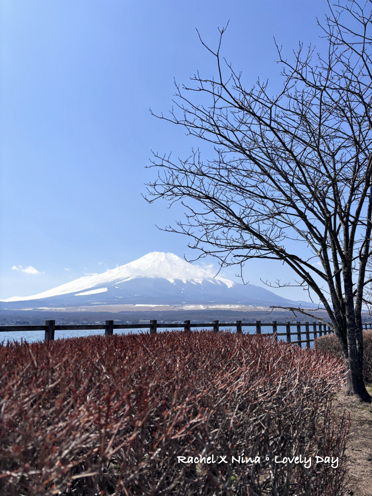 日本东京富士山必去景点必吃美食.025.jpeg