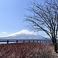 日本東京富士山必去景點必吃美食.025.jpeg