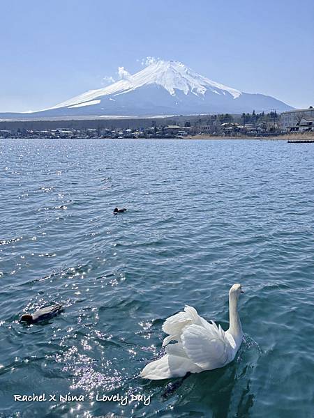 日本東京富士山必去景點必吃美食.029.jpeg