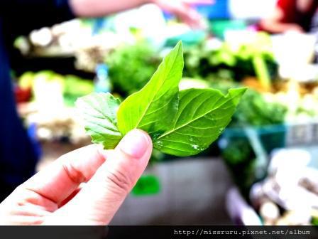 學泰國料理-三種basil