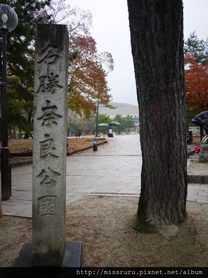 名勝奈良公園