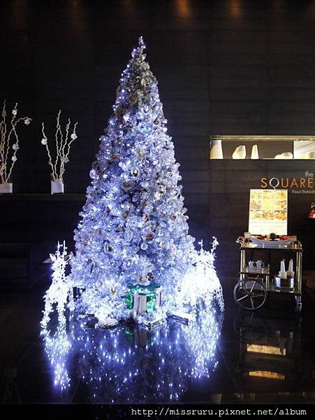 NOVOTEL-TREE2.JPG