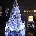 NOVOTEL-TREE2.JPG