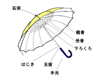 有趣的傘介紹圖