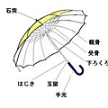 有趣的傘介紹圖