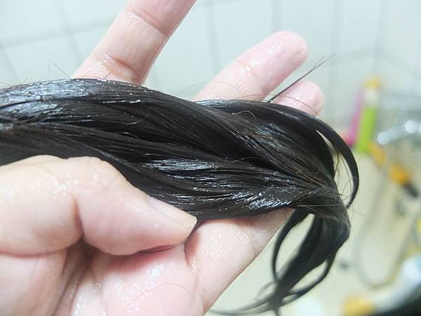 DSCF7901 DSCF7901