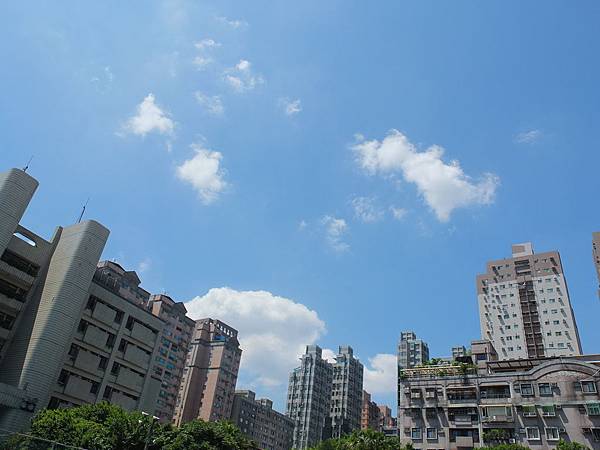 DSCF4183 DSCF4183