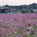 婆婆帶孫子來玩樂