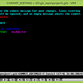 git_vim_windows_commit.png