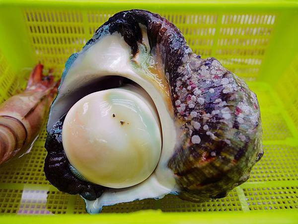 日本美食 沖繩第一牧志公設市場ツバメ食堂 沖繩特有夜光貝 咖啡先生 痞客邦 日本美食 沖繩第一牧志公設市場ツバメ食堂 沖繩特有夜光貝 咖啡先生 痞客邦