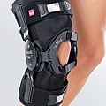 Hinged Knee Support.jpg