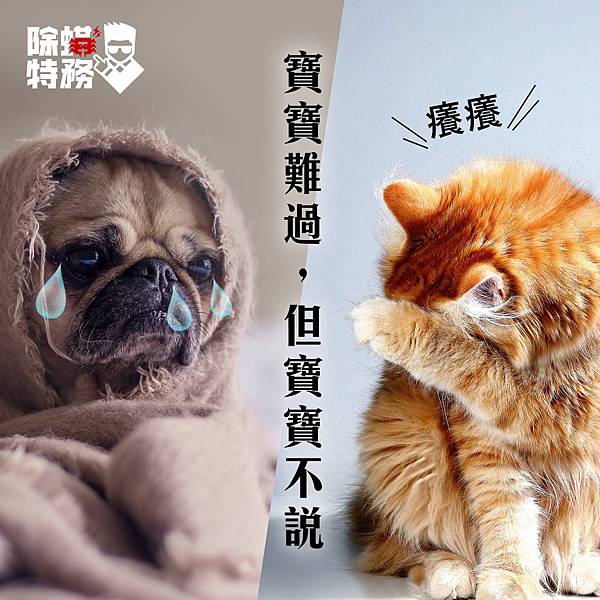 fb0714_毛寶寶過敏.jpg fb0714_毛寶寶過敏.jpg