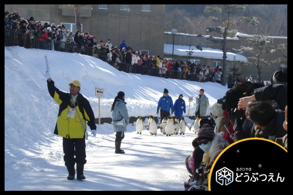 02旭川-旭山zoo03.jpg