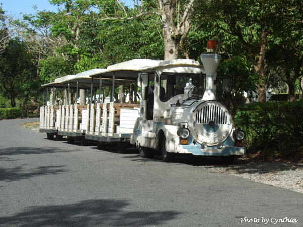 DM上的白色遊園車