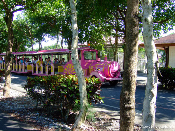 當天的桃紅色遊園車 當天的桃紅色遊園車