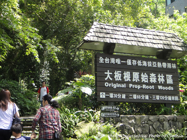 大板根-原始森林區入口 大板根-原始森林區入口