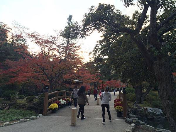 IMG_4761.JPG IMG_4761.JPG