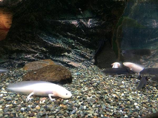 IMG_5392.JPG IMG_5392.JPG