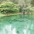 清澈的枇杷湖