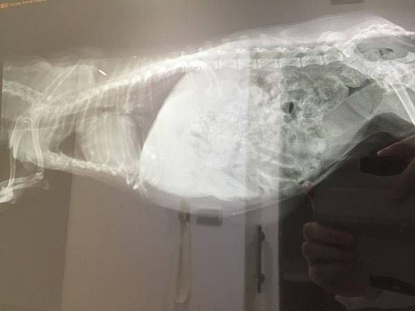 Image3 Image3