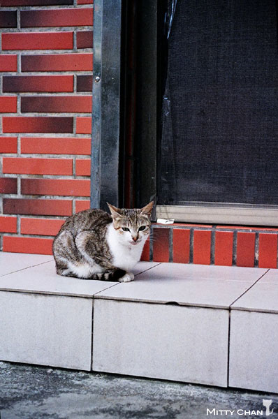 FM2-cat-014-V4.jpg FM2-cat-014-V4.jpg