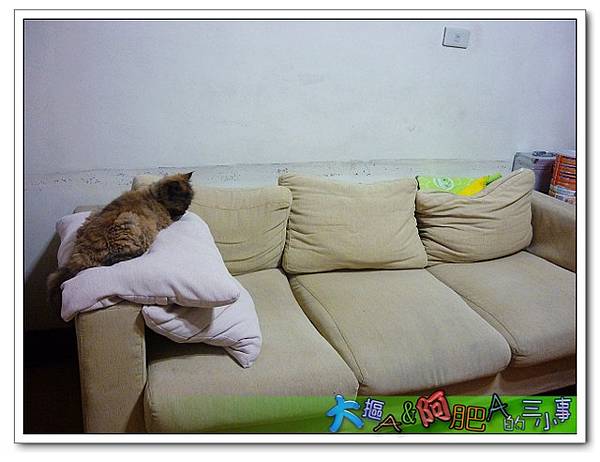 P1050923_nEO_IMG