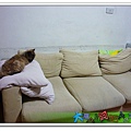 P1050923_nEO_IMG