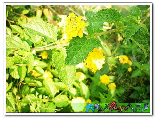 P1060564_nEO_IMG