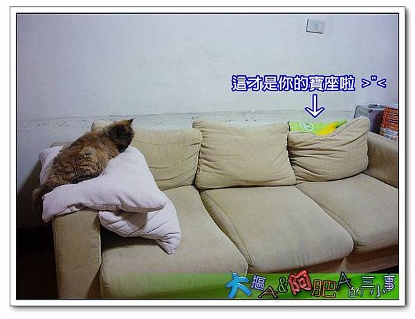 P1050923_nEO_IMG