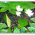 P1050968_nEO_IMG