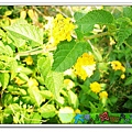 P1060564_nEO_IMG