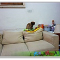 P1050969_nEO_IMG