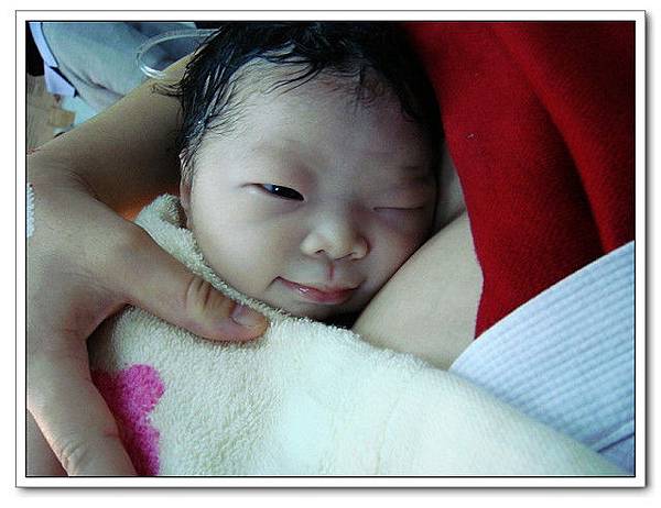 DSC03600_nEO_IMG