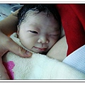 DSC03600_nEO_IMG