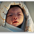 DSC03639_nEO_IMG