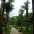 P1050638